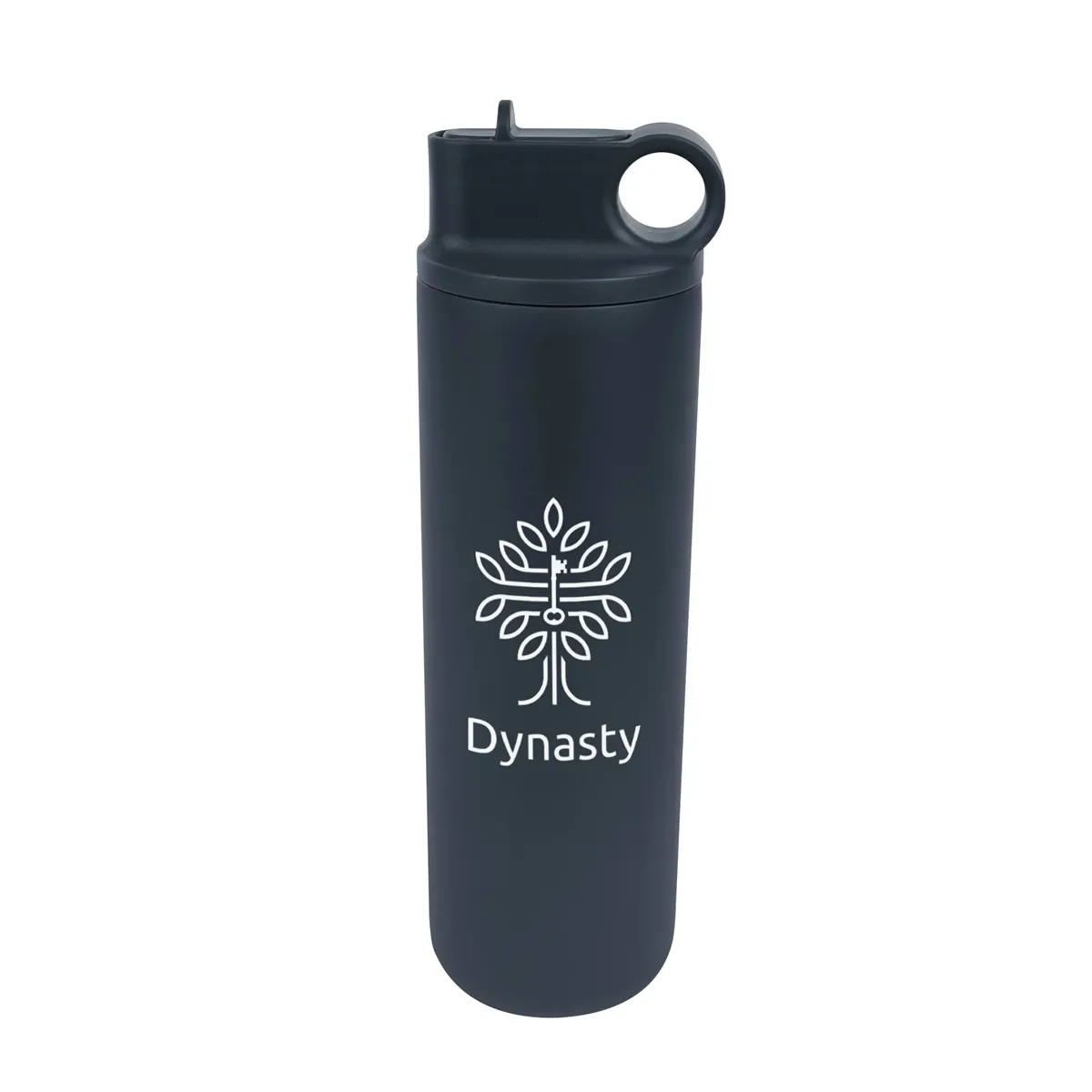 27 Oz. Roanoke Stainless Steel Bottle