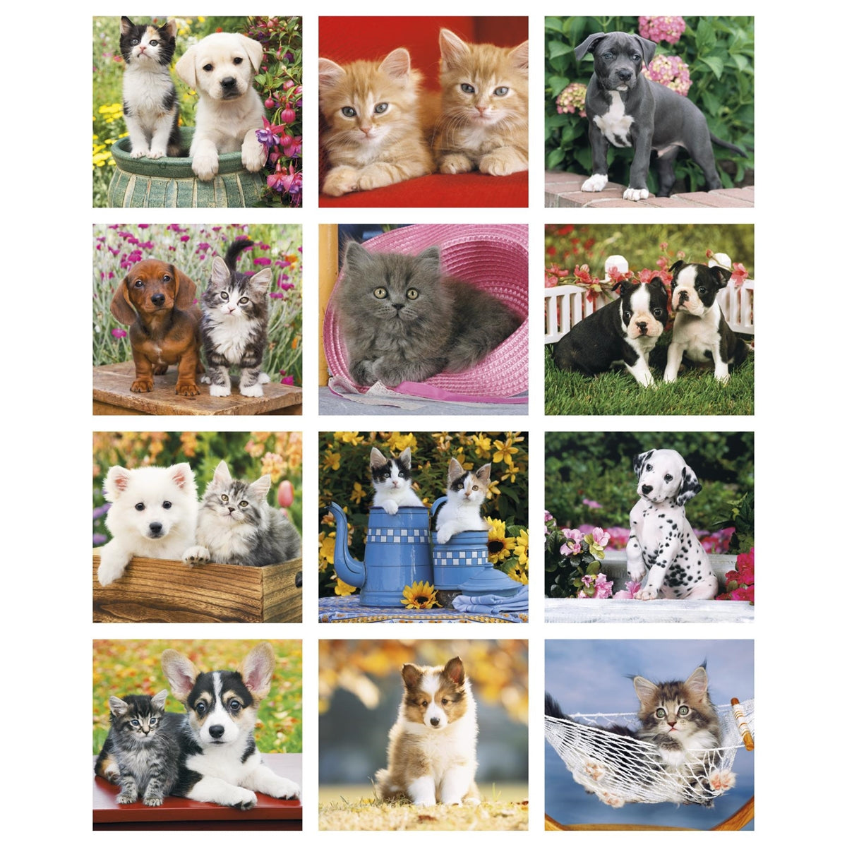 Puppies & Kittens Mini 2024 Appointment Calendar