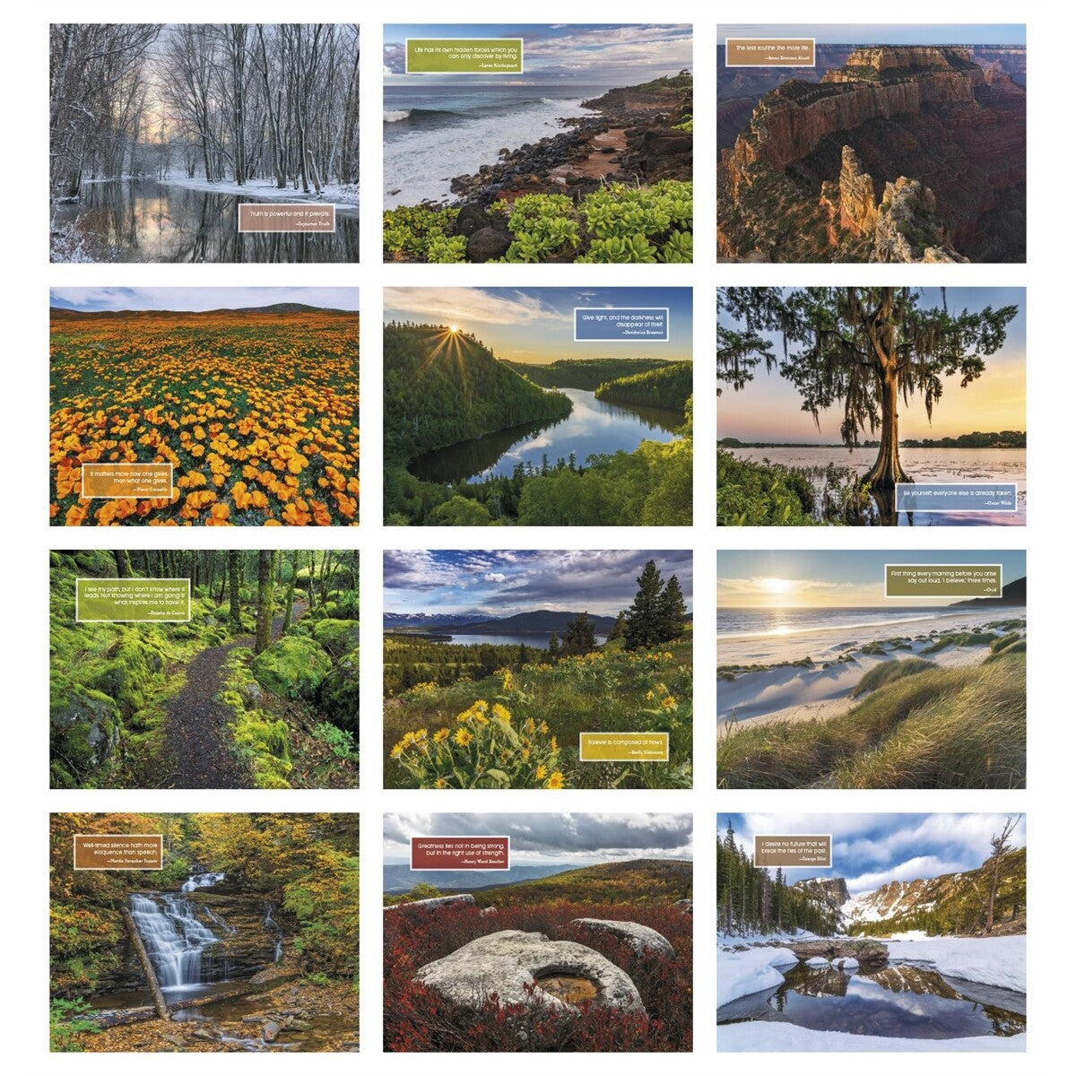 Window Inspirations for Life 2024 Appointment Calendar