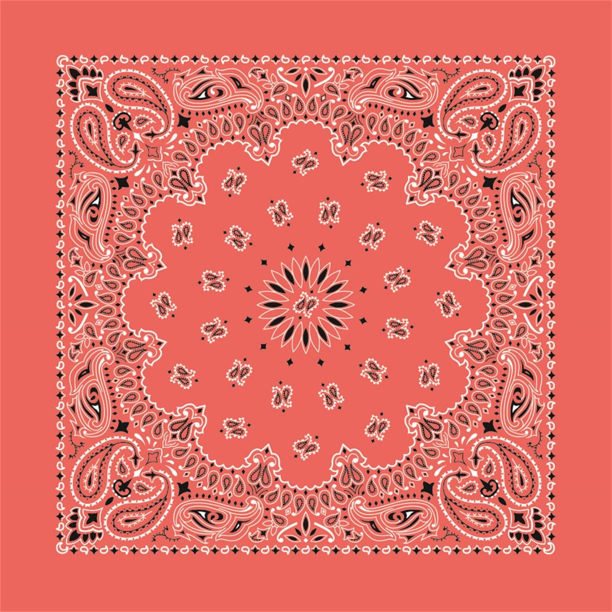 USA Made Classic Stock Paisley Design