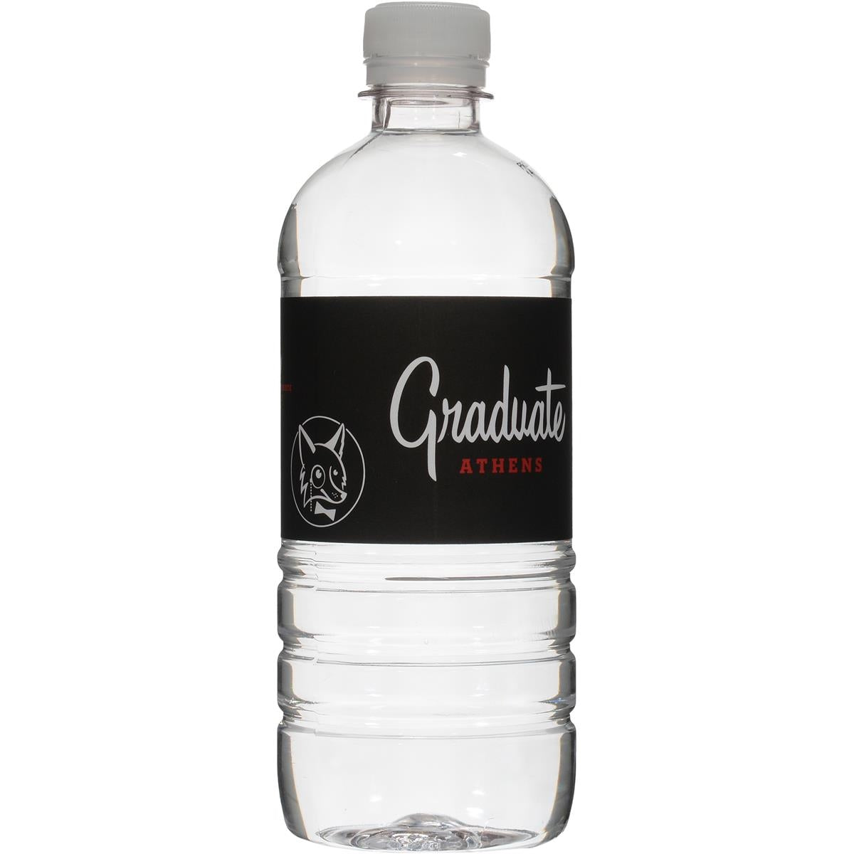 Bottled Water 20 oz