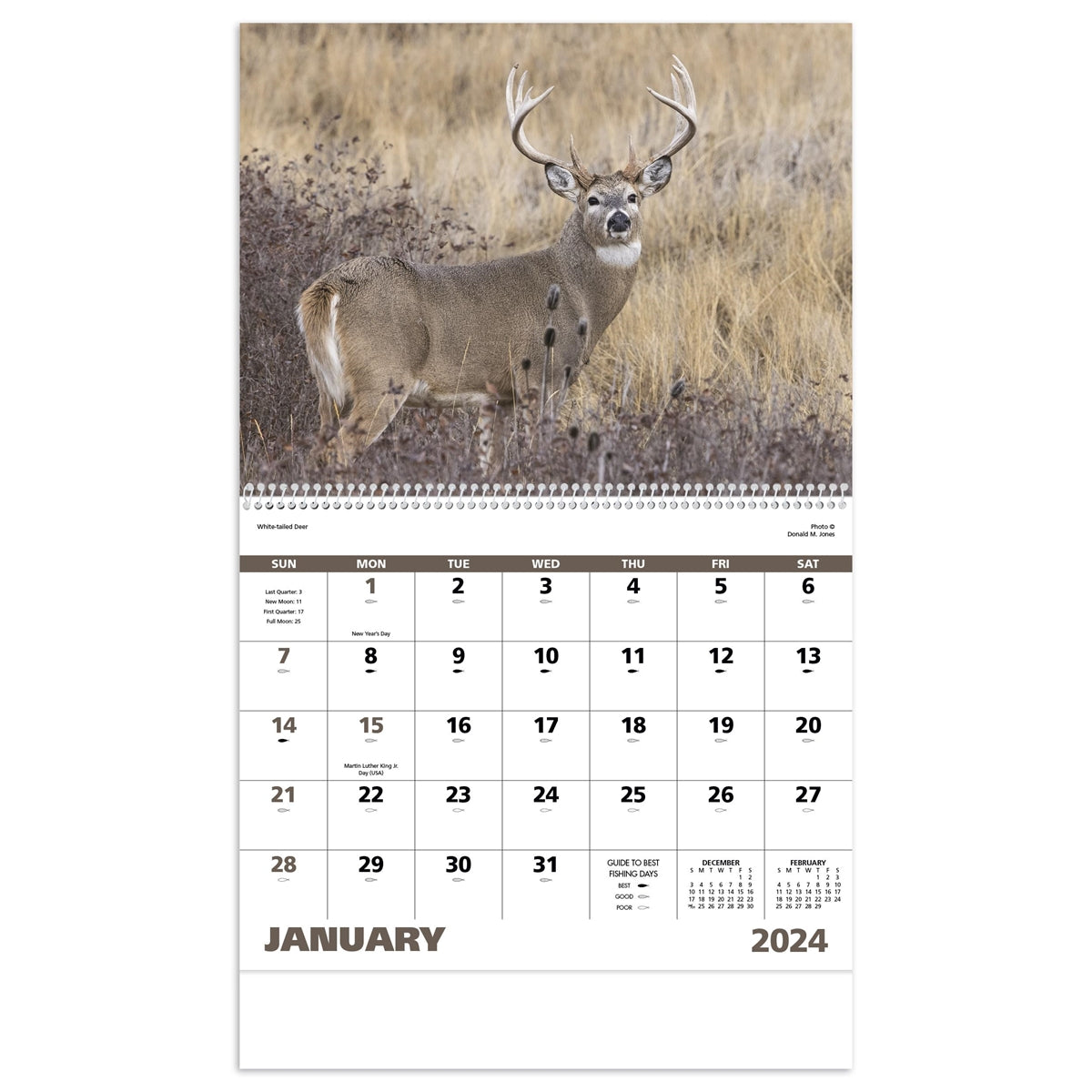 Spiral Wildlife Portraits Appointment Calendar