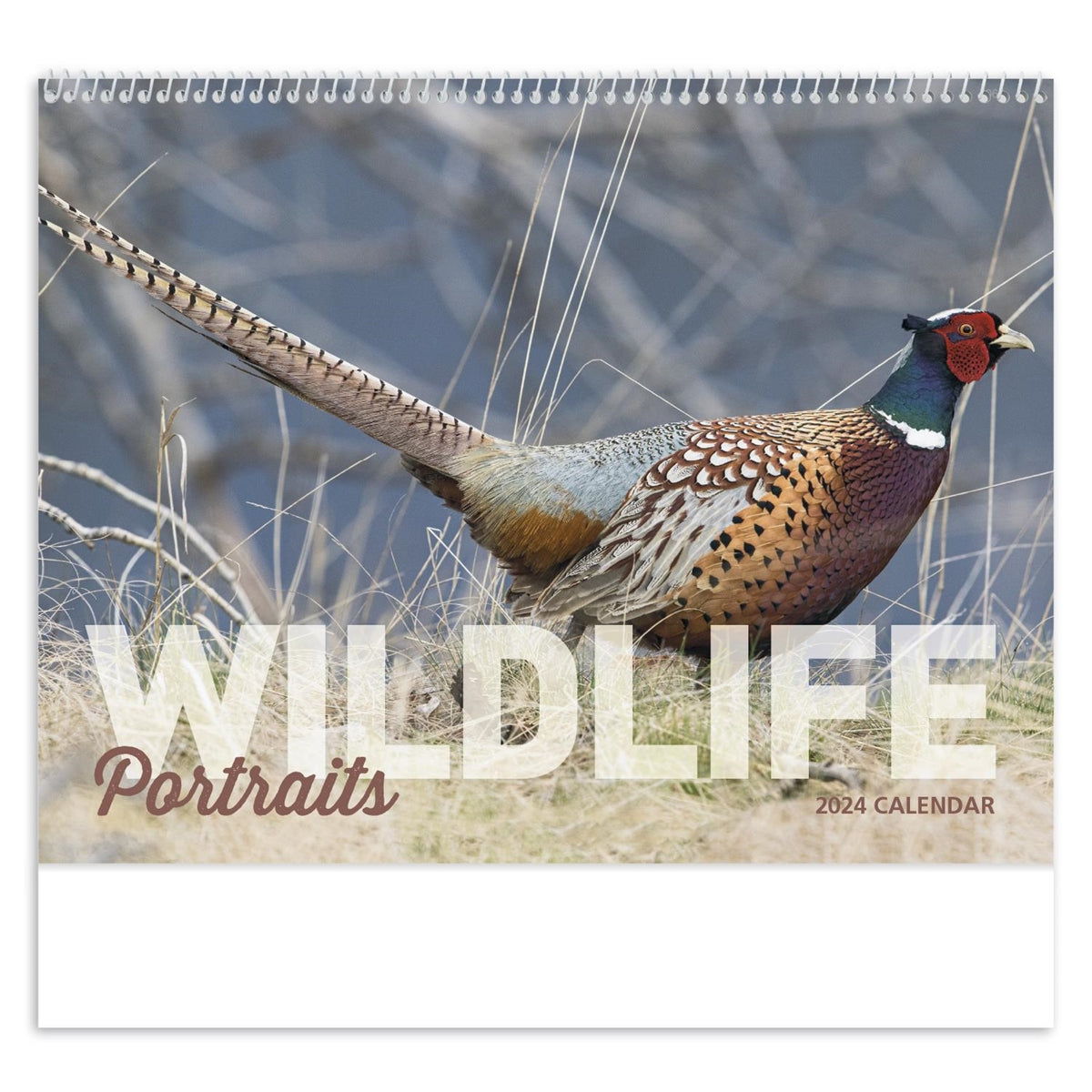 Spiral Wildlife Portraits Appointment Calendar