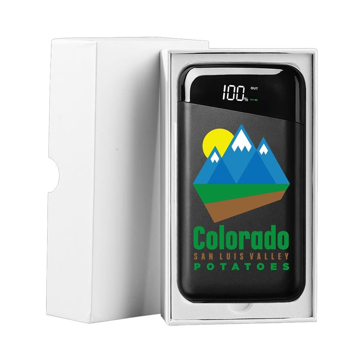 Richmond 10,000mAh Wireless Power Bank