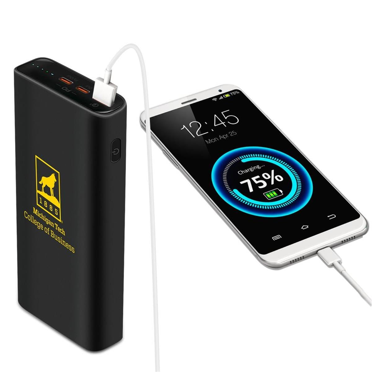 Ontario 65W Laptop Charger 20000mAh Power Bank