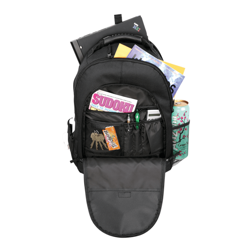 Journey 15" Computer Backpack